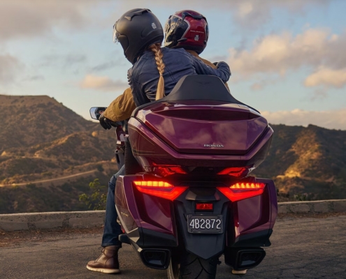 Goldwing m