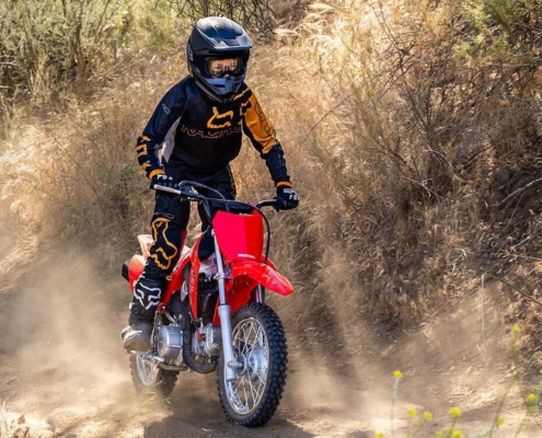 Screenshot 2025-10-15 at 09-44-07 CRF110F Youth Dirt Bike Honda